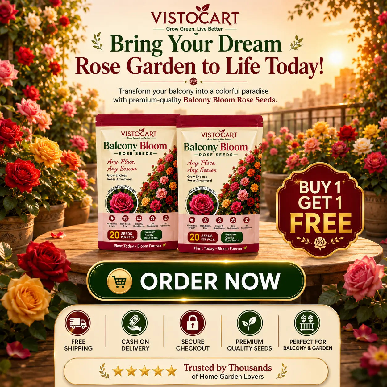 VISTOCART® Balcony Bloom™ Rose Seeds