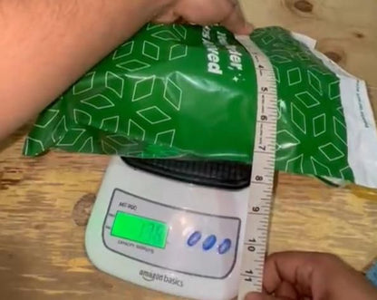 Stuffed Squeaky Plush Dog Toy