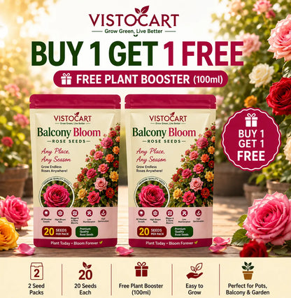 VISTOCART® Balcony Bloom™ Rose Seeds