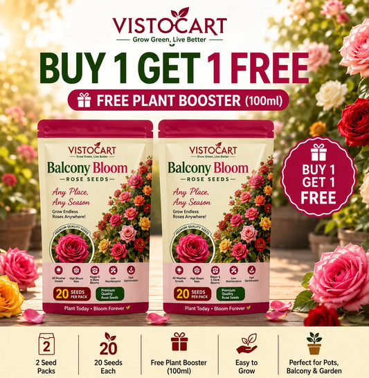 VISTOCART® Balcony Bloom™ Rose Seeds