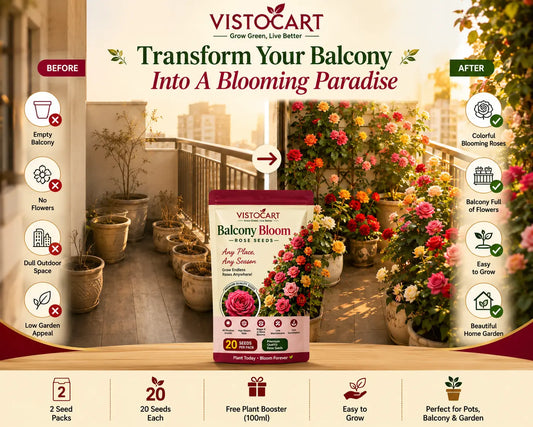 VISTOCART® Balcony Bloom™ Rose Seeds