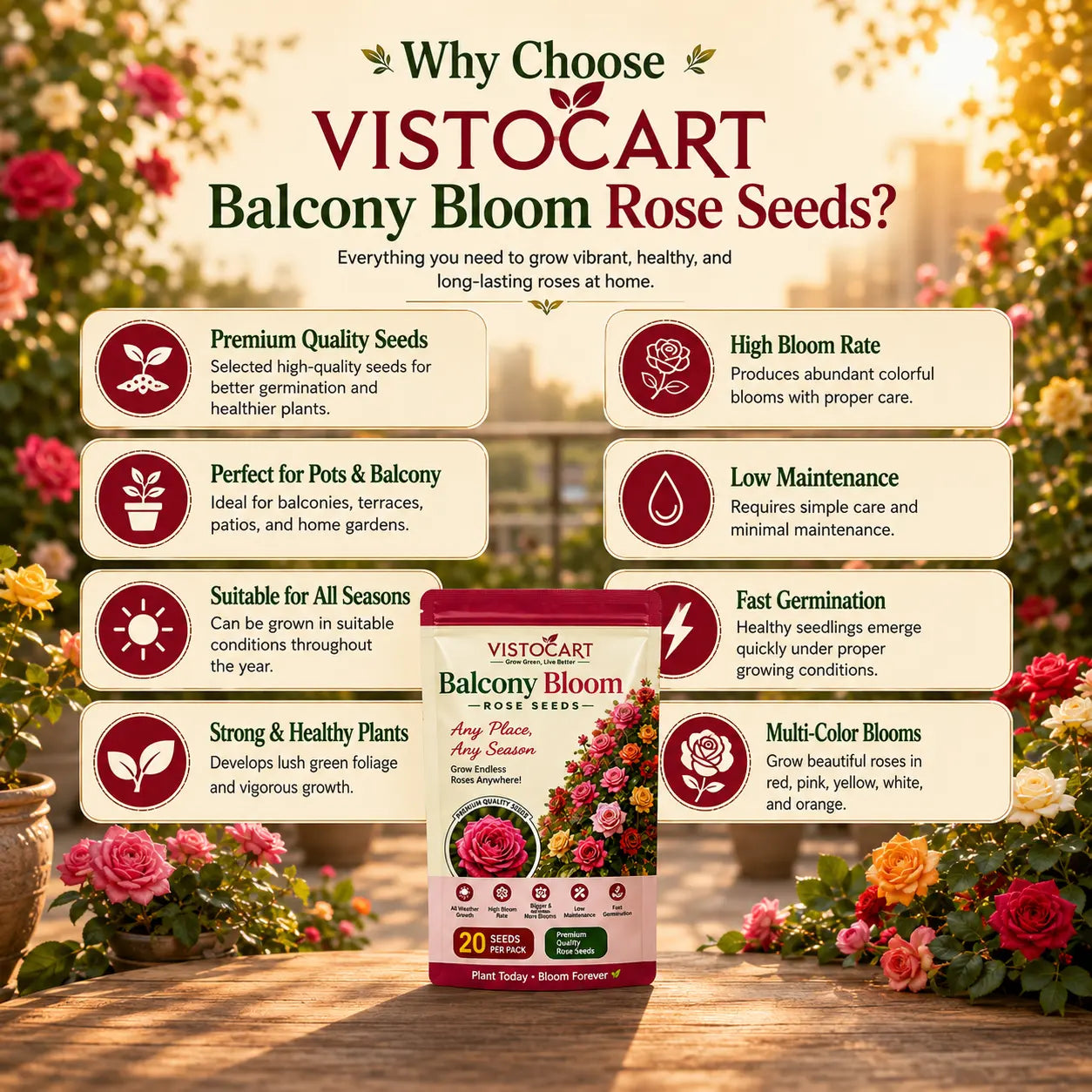 VISTOCART® Balcony Bloom™ Rose Seeds
