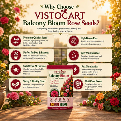 VISTOCART® Balcony Bloom™ Rose Seeds