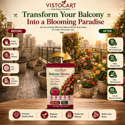 VISTOCART® Balcony Bloom™ Rose Seeds